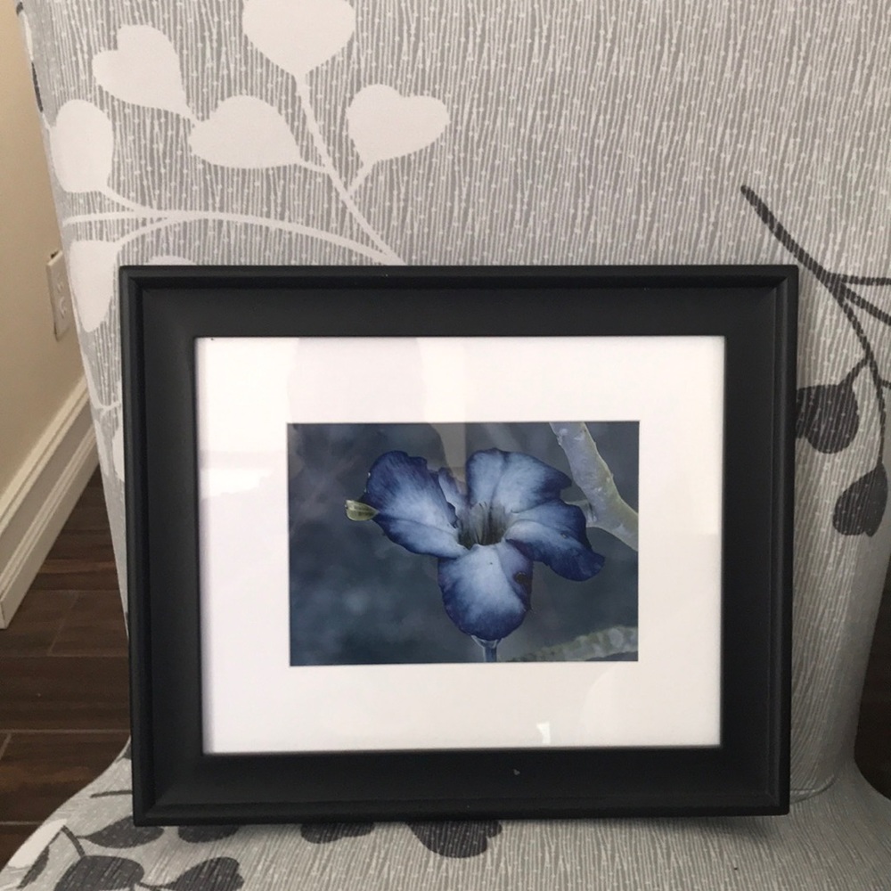 Blue flower print. Frame slight imperfection